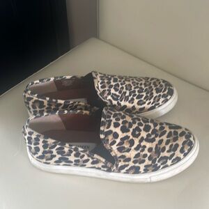 Steve Madden leopard print sneaker